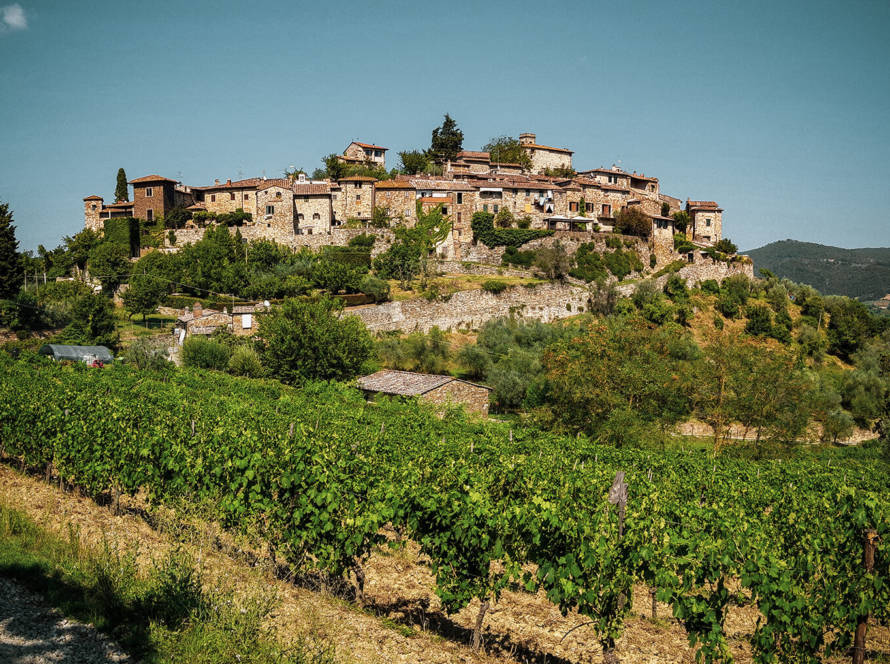 Clos des vignes d'or